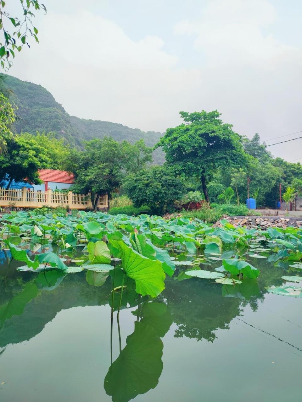 Trang An Natural Mountainside Homestay Ninh Binh Exterior foto
