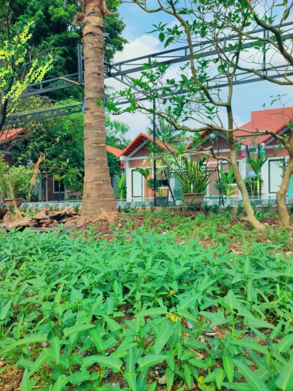 Trang An Natural Mountainside Homestay Ninh Binh Exterior foto
