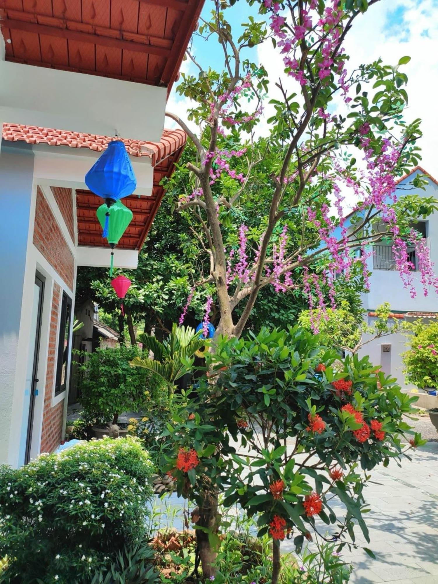 Trang An Natural Mountainside Homestay Ninh Binh Exterior foto